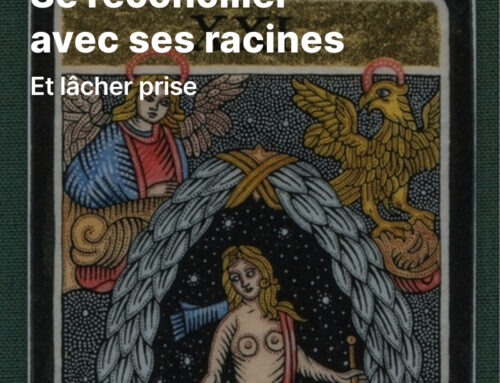 Se réconcilier avec ses racines
