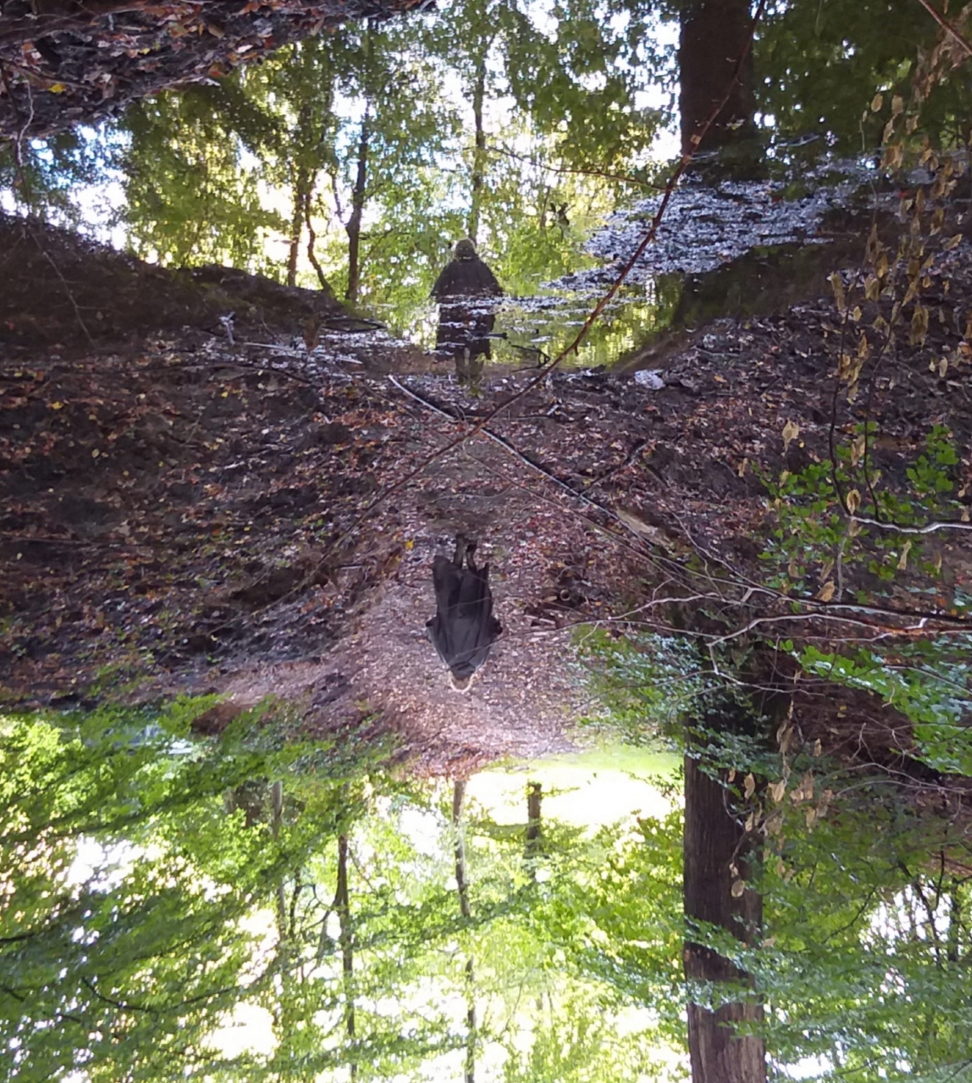 20191002_232938